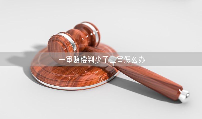 一审赔偿判少了二审怎么办 一审赔偿判少了二审怎么办