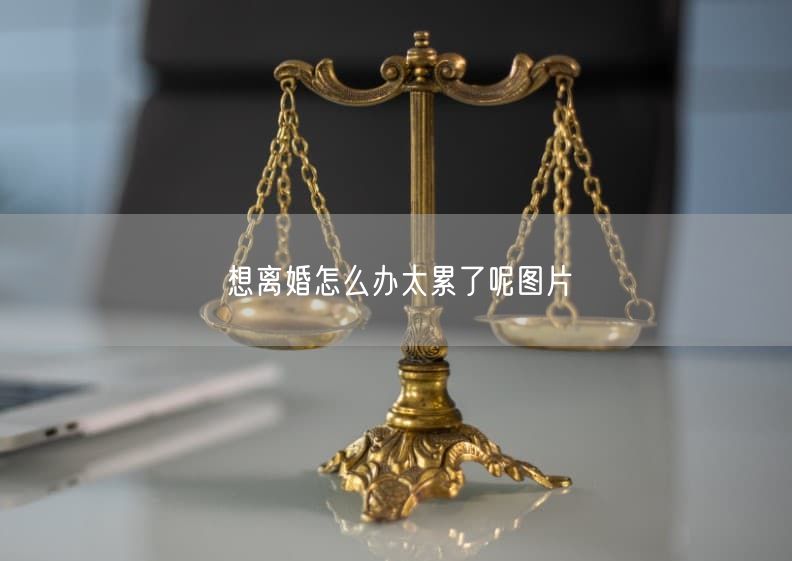 想离婚怎么办太累了呢图片