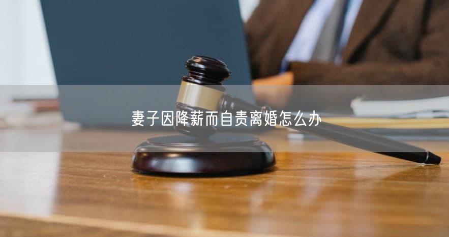 妻子因降薪而自责离婚怎么办