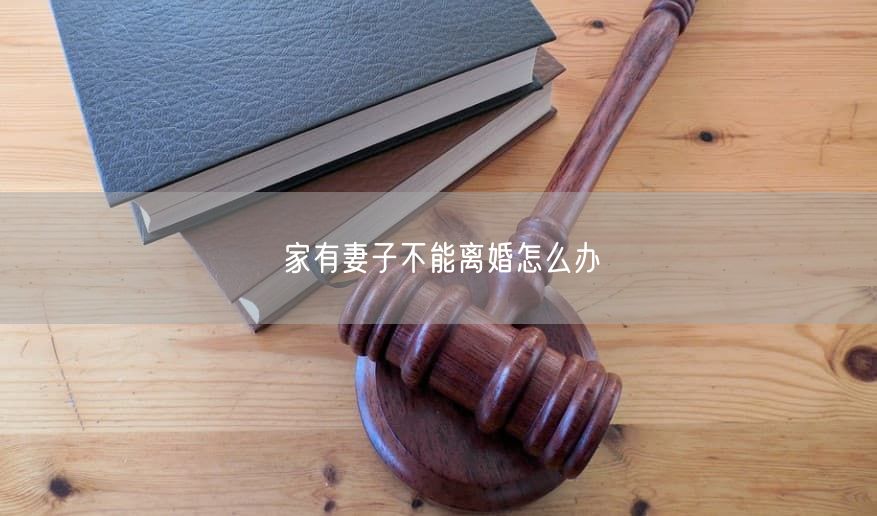 家有妻子不能离婚怎么办