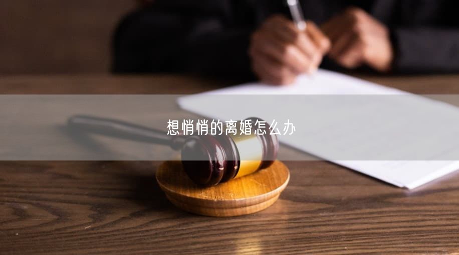 想悄悄的离婚怎么办