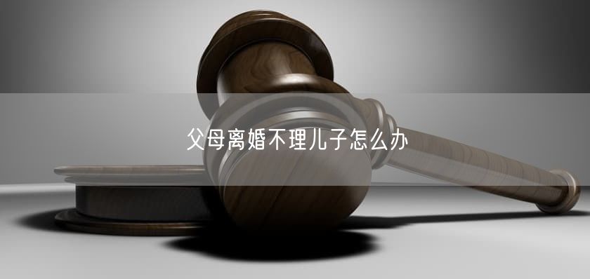 父母离婚不理儿子怎么办