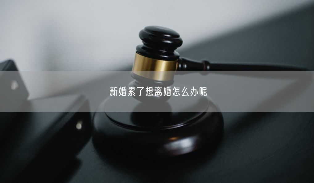新婚累了想离婚怎么办呢