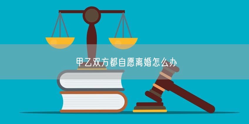 甲乙双方都自愿离婚怎么办
