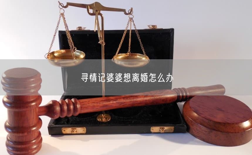 寻情记婆婆想离婚怎么办