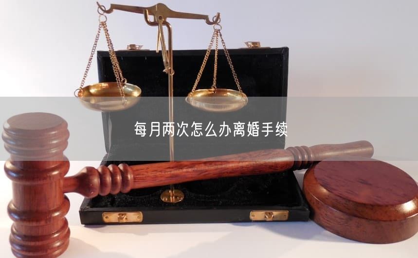 每月两次怎么办离婚手续